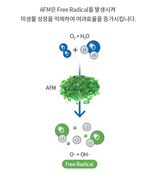 AFM은 Free Radical을 발생시키는 촉매역할을 합니다.